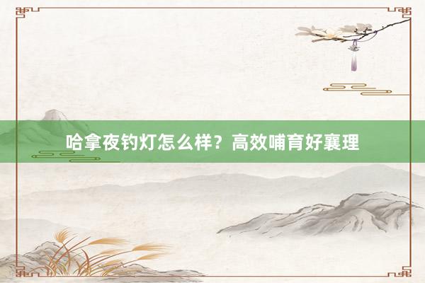 哈拿夜钓灯怎么样？高效哺育好襄理